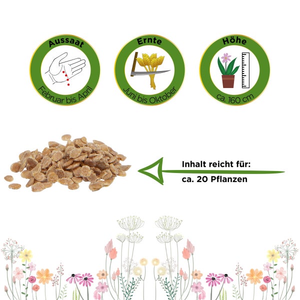 Buschtomate Roma VF Samen von Deine Gartenwelt