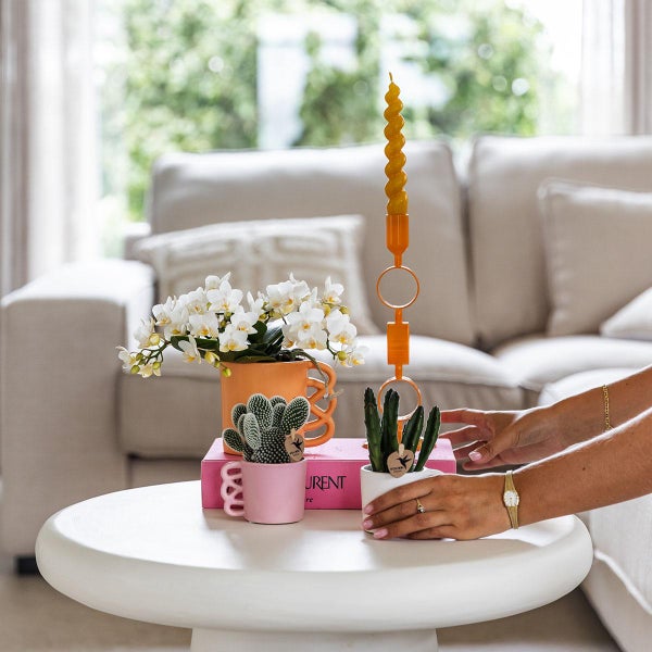 Helles, organisiertes Wohnzimmer mit einem weißen Couchtisch, weißen Orchideen, Kakteen in Keramiktöpfen und einem modernen Kerzenständer.