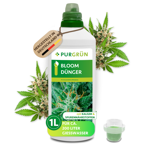 Purgrün Bloom Dünger Flüssigdünger für eine produktive Blütephase, 1 Liter Flasche für circa 200 Liter Gießwasser, hergestellt in Deutschland.