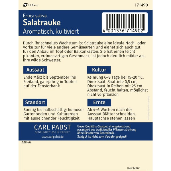 Salatrauke Aromatisch kultiviert Samen von Pabst Keimkraft