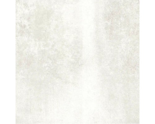 Bodenfliese Globus Platinum 60x60cm rektifiziert