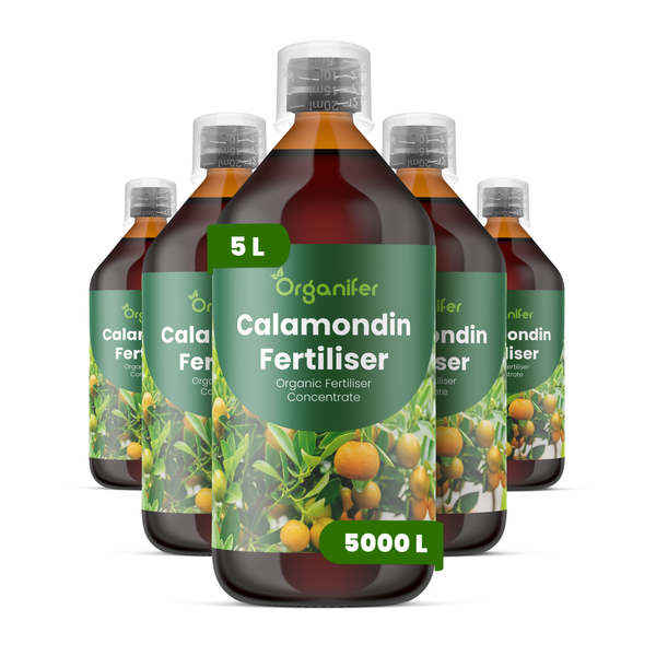 Organifer Calamondin-Dünger, 5 Liter organisches Konzentrat für 5000 Liter Wasser, fünf Flaschen.