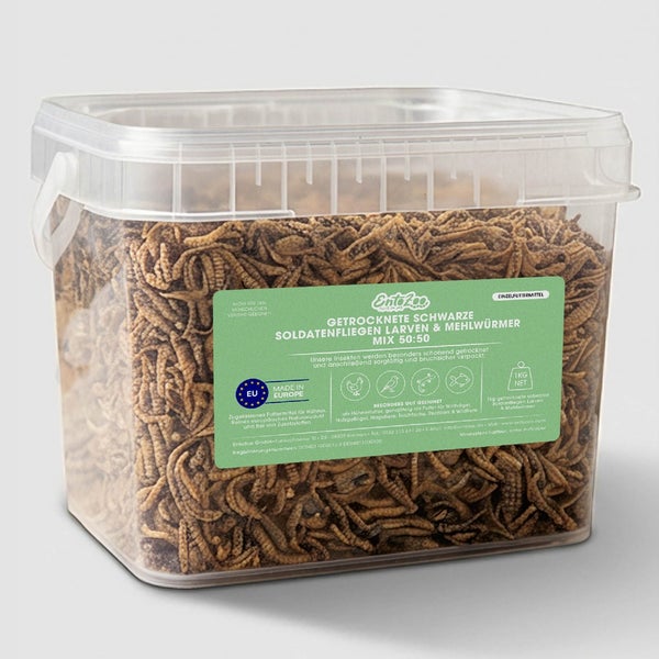 Eimer mit getrockneten schwarzen Soldatenfliegenlarven und Mehlwürmern, 1 Kilogramm Insektenfuttermischung für Tiere.