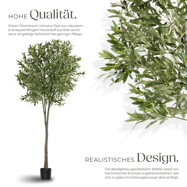 Olivenbaum mit Topf aus Kunststoff