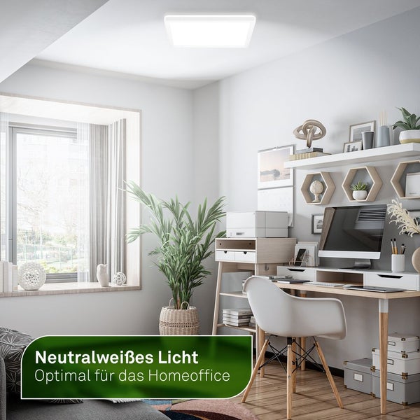 Büroraum mit Schreibtisch und Deckenleuchte