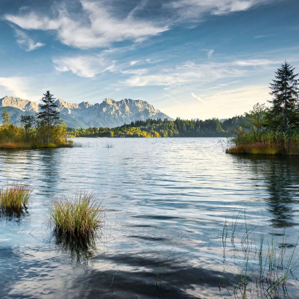 Landschaft mit See, Bäumen und Bergen im Hintergrund