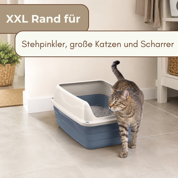 Katze tritt aus einer Katzentoilette mit extra hohem Rand für große Katzen, Stehpinkler und Scharrer in einem hellen Raum.