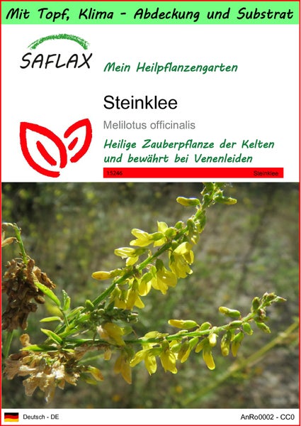 SAFLAX Garden to go - Steinklee - Melilotus officinalis - 250 Samen - Mit Topf, Klima - Deckel und Anzuchtsubstrat