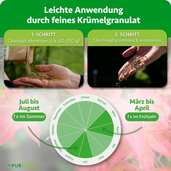Anwendungshinweise und Ausbringungszeitraum für Purgrün Granulat mit zwei Schritten zur Dosierung und einem Jahreskalender für die Anwendung.