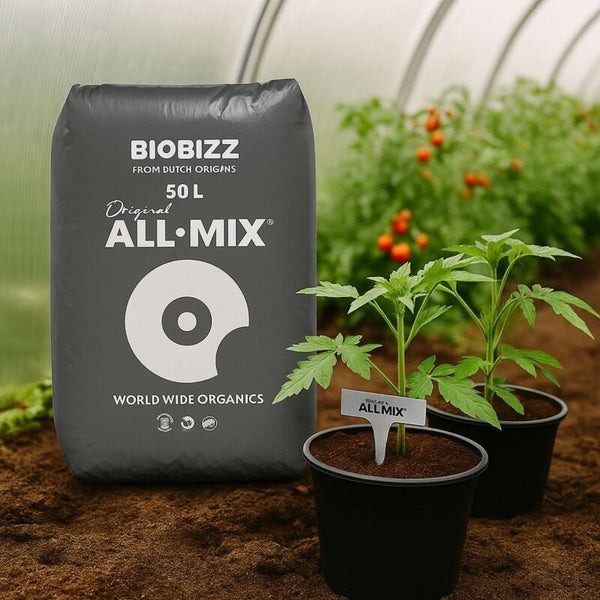 Biobizz All-Mix 50 Liter Erde neben zwei jungen Pflanzen in Töpfen in einem hellen Gewächshaus.