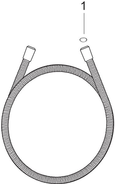 Flexibler Brauseschlauch mit zwei Anschlüssen und einer Dichtung.