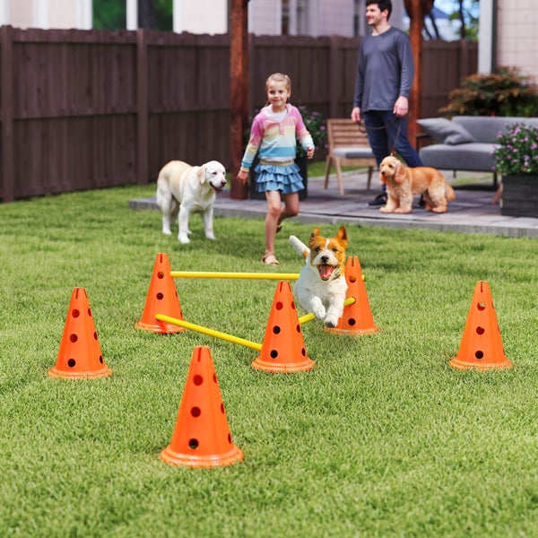 Hunde-Agility-Set im Garten mit orangenen Pylonen und gelben Hürdenstangen, über die ein kleiner Hund springt.
