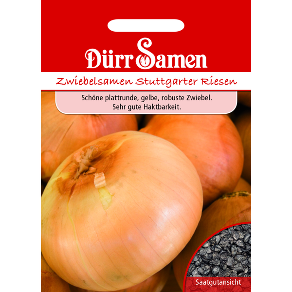 Sommerzwiebeln Stuttgarter Riesen Saatgut von Dürr Samen