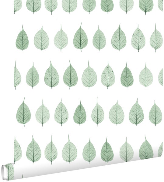 Tapetenrolle mit Blattmuster für die Wandgestaltung