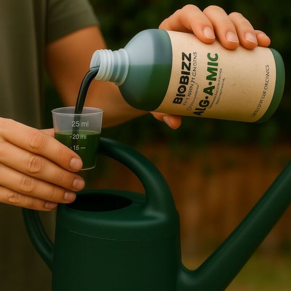 BioBizz Alg-A-Mic Pflanzenhilfsmittel wird aus der Flasche in einen Messbecher über einer Gießkanne gegossen.