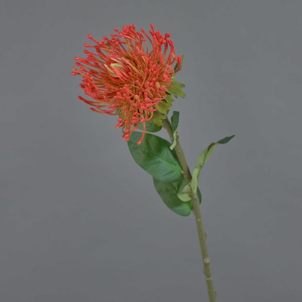 Künstliche Blume Leucospermum mit orangefarbener Blüte und grünem Stiel.