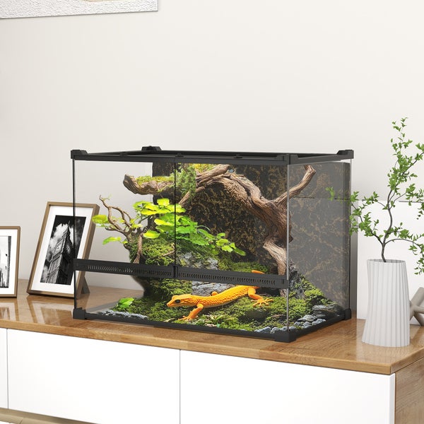 Glasterrarium mit schwarzem Rahmen, eingerichtet mit Moos, Ästen und einer Echse, auf einem Sideboard.