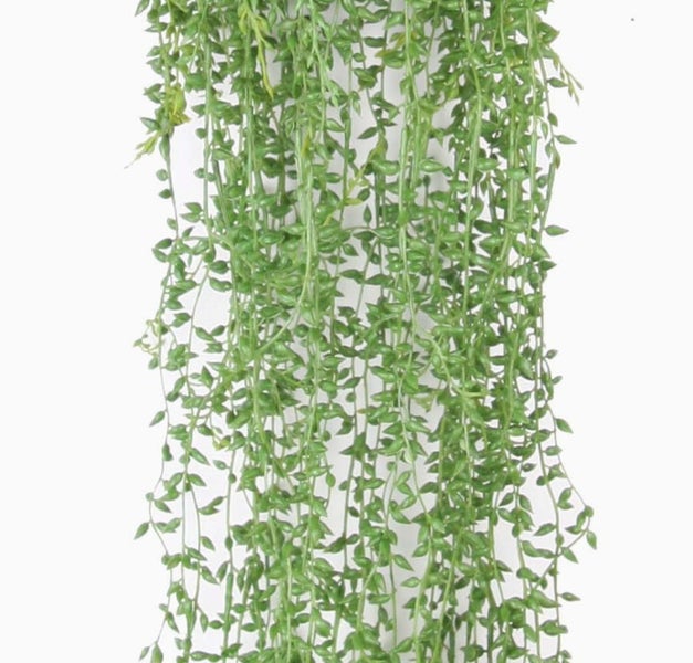 Künstliche Hängepflanze mit grünen, perlenartigen Blättern an langen Trieben.