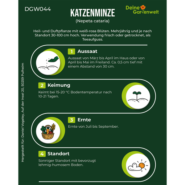 Informationen zur Aussaat, Keimung, Ernte und zum Standort von Katzenminze Nepeta cataria mit Deine Gartenwelt Logo.