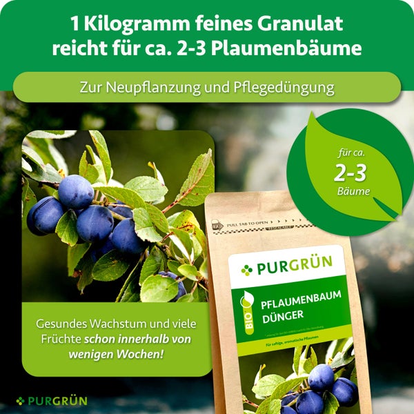 PURGRÜN Bio Pflaumenbaum Dünger als feines Granulat zur Neupflanzung und Pflegedüngung für zwei bis drei Bäume im wiederverschließbaren Beutel.