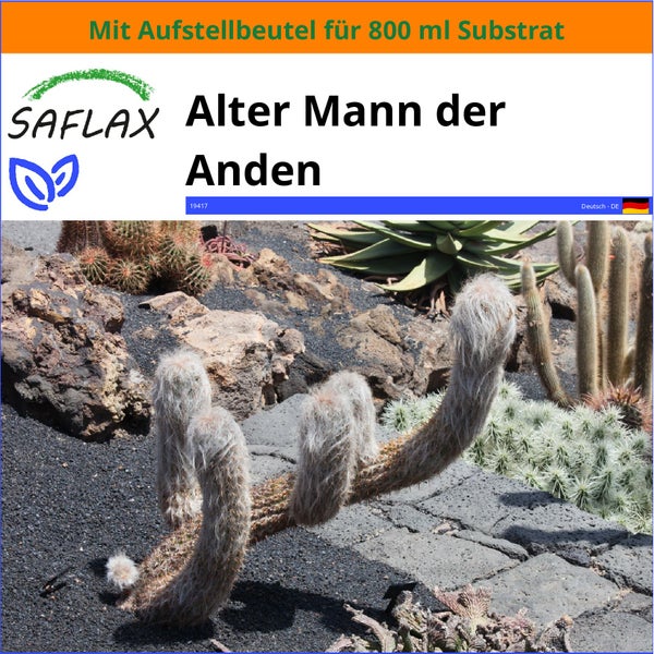 SAFLAX Garden in the bag - Alter Mann der Anden - Oreocereus celsianus - 40 Samen - Mit Anzuchtsubstrat im praktischen, selbst aufstellenden Beutel