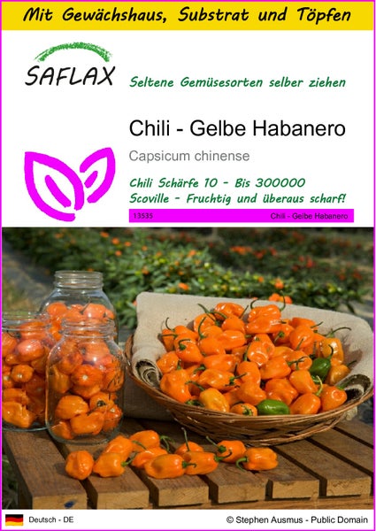 SAFLAX Anzucht Set - Chili - Gelbe Habanero - Capsicum chinense - 10 Samen - Mit Mini-Gewächshaus, Anzuchtsubstrat und 2 Töpfen