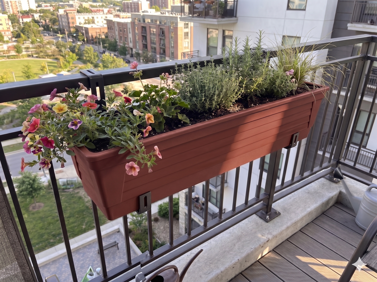 Rechteckiger Balkonkasten aus Kunststoff mit gerippter Oberfläche, bepflanzt mit Blumen und Kräutern, an einem Metallgeländer mit Stadtansicht.