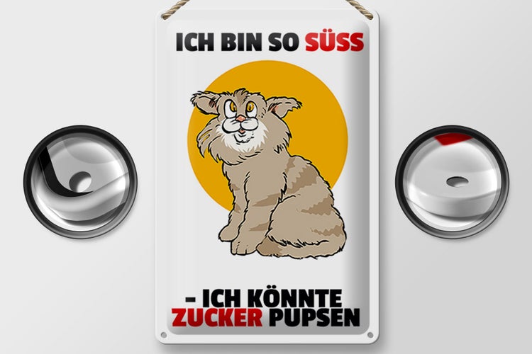 Blechschild Spruch 20x30cm Bin süß könnte Zucker pupsen (Katze)