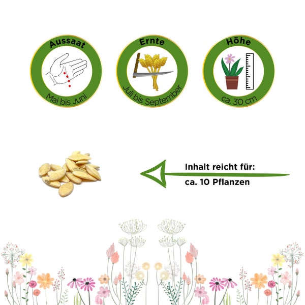 Pflanzinformationen: Aussaat von Mai bis Juni, Ernte von Juli bis September, Wuchshöhe circa 30 Zentimeter. Inhalt reicht für circa 10 Pflanzen.