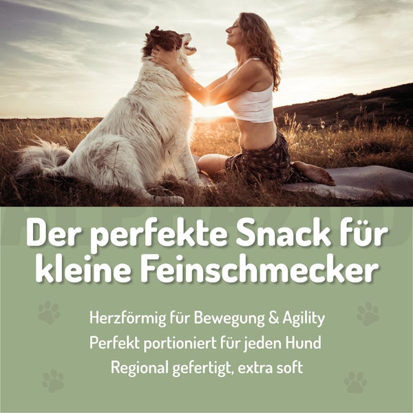 Frau umarmt Hund in der Natur, Hundesnack-Werbung