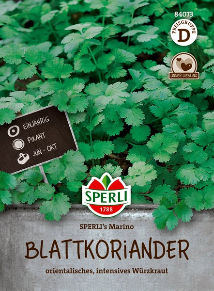 Sperli Saatgut Blattkoriander Marino für einjährige Kultur mit pikanter Note und Ernte von Juni bis Oktober