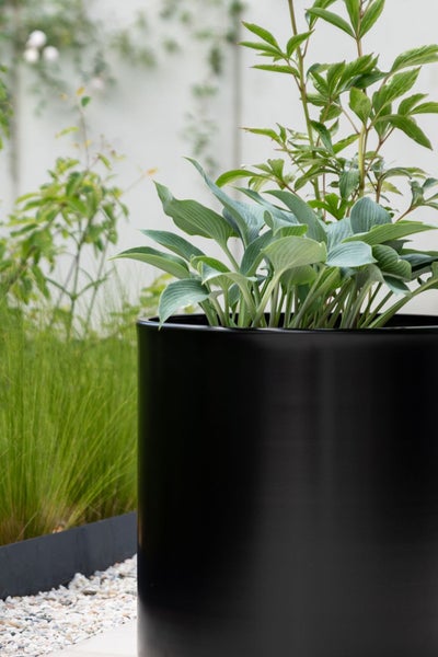 Schwarzer zylindrischer Pflanztopf im Garten, bepflanzt mit grünen Funkien und Pfingstrosen auf hellem Kies.