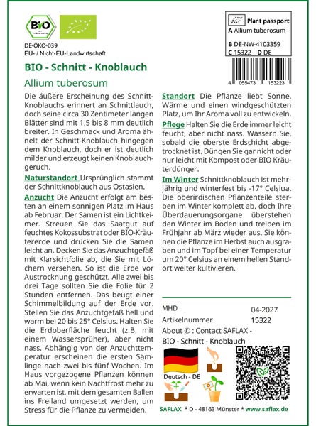 SAFLAX Garden to go - BIO - Schnitt - Knoblauch - Allium tuberosum - 100 Samen - Mit Topf, Klima - Deckel und Anzuchtsubstrat