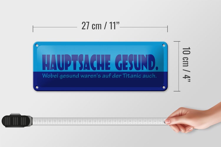 Blechschild Spruch 27x10cm Hauptsache gesund Dekoration