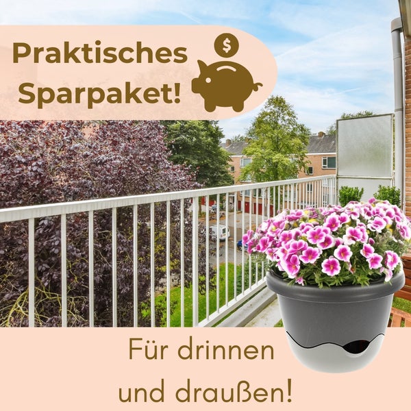 Sparpaket für drinnen und draußen mit bepflanztem Blumentopf auf einem Balkon