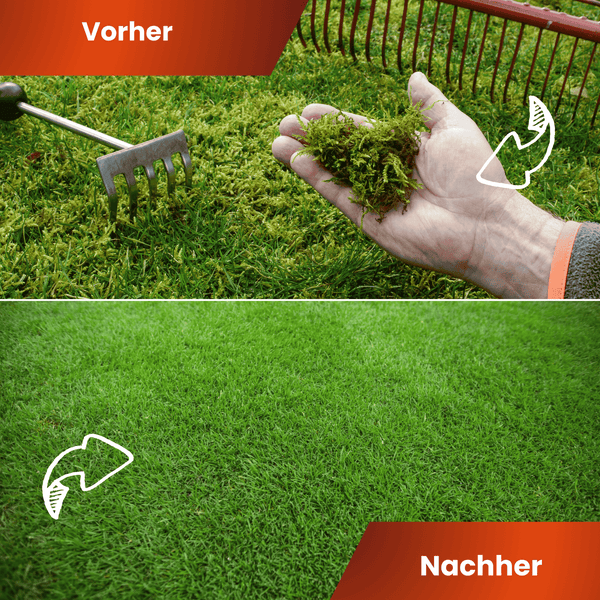 Greenyp Anti Moos Rasendünger I 2in1 Rasen- & Eisendünger 20kg für 400m² | Für Rasenflächen mit Moos | Rasendünger + Eisensulfat I Frühjahr bis Herbst