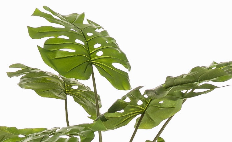 Künstlicher Philodendron KORVEX, Luftwurzeln, 180cm - Kunstpflanze Monstera deliciosa