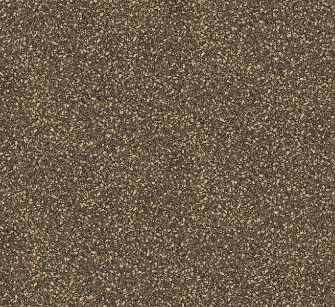 Gelbe Hartriegelsträucher im Garten.