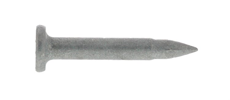 Ein einzelner Nagel aus Metall