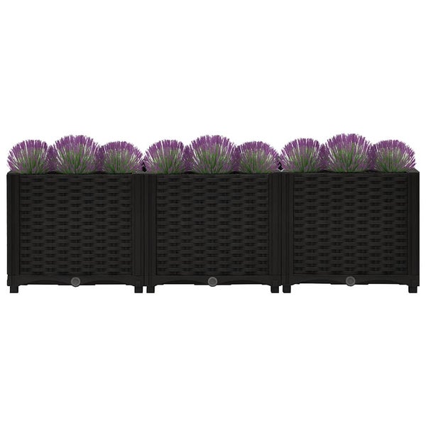 Drei schwarze verbundene Pflanzkästen in Rattan-Optik mit violetten Pflanzen.