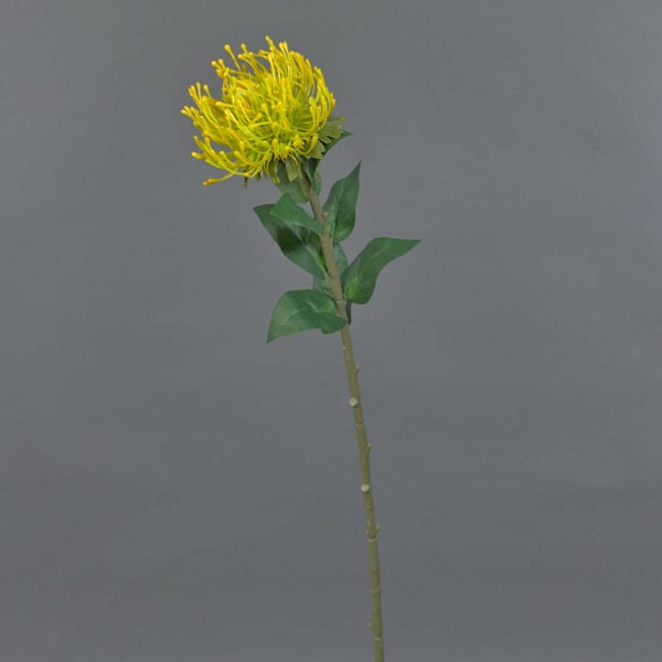 Künstliche Protea, Gelb, 70 cm - Textilpflanze, Protea Deko