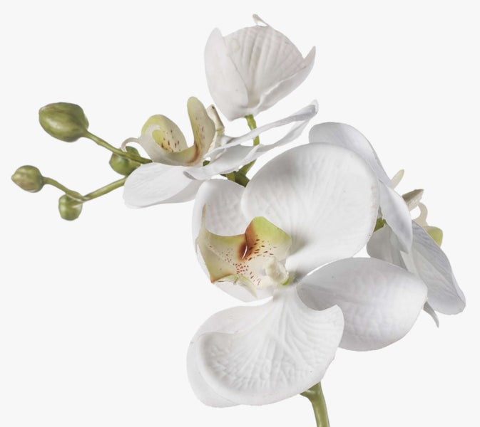 Künstliche Orchidee mit weißen Blüten und grünen Knospen.