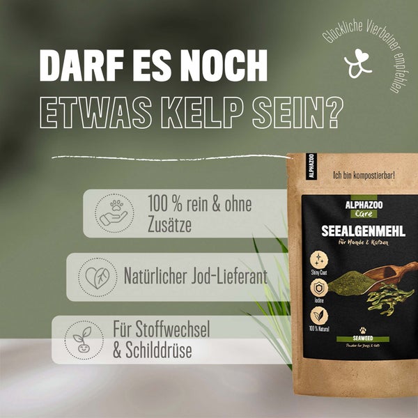 ALPHAZOO Seealgenmehl 250g für Hunde und Katzen I Ascophyllum Nodosum Seealgen