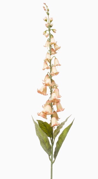 Künstlicher Fingerhut mit pfirsichfarbenen Blüten und grünen Blättern.