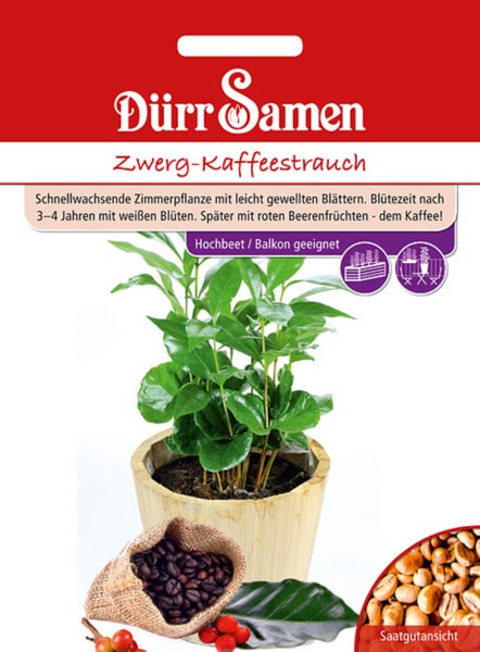 Samenpackung für Dürr Samen Zwerg-Kaffeestrauch mit Abbildung der Pflanze, Kaffeebohnen und Samen.