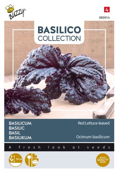 Basilikum-Samenpackung mit rotem Blattsalat-Basilikum