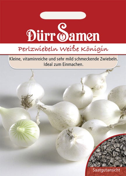 Samen für Perlzwiebeln Weiße Königin von Dürr Samen, Abbildung kleiner weißer Zwiebeln und Nahaufnahme der Samen.