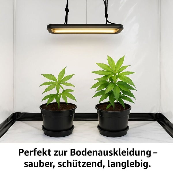 Zwei Pflanzen in Töpfen unter einer Pflanzenlampe in einem Anzuchtzelt.