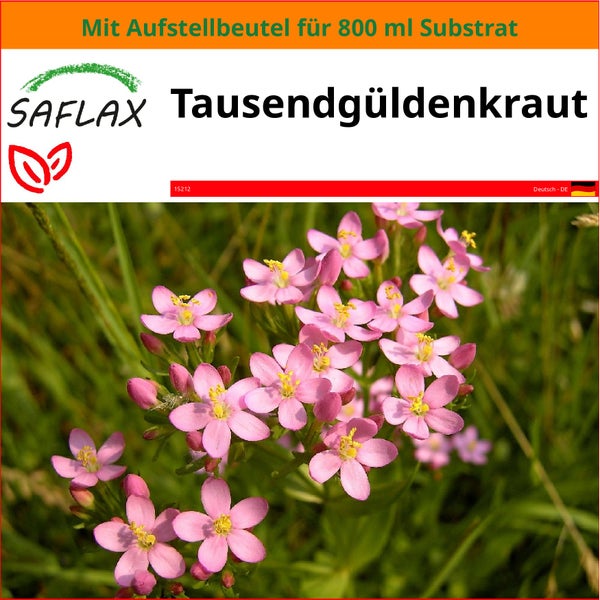 SAFLAX Garden in the bag - Tausendgüldenkraut - Centaurium erythraea - 250 Samen - Mit Anzuchtsubstrat im praktischen, selbst aufstellenden Beutel