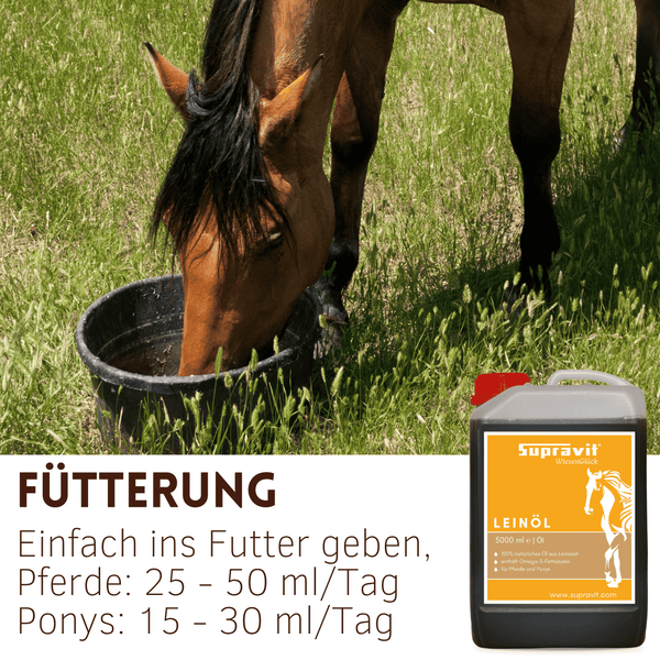 Pferd frisst auf einer Wiese aus einem Eimer, daneben 5 Liter Supravit Leinöl mit Fütterungshinweis von 15 bis 50 Milliliter täglich.